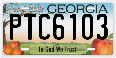 GA license plate PTC6103
