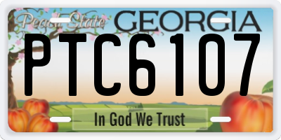 GA license plate PTC6107