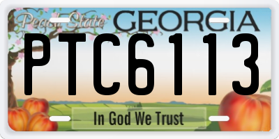 GA license plate PTC6113
