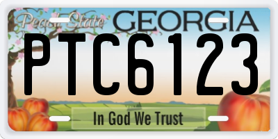 GA license plate PTC6123