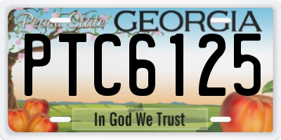 GA license plate PTC6125