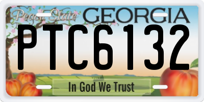 GA license plate PTC6132