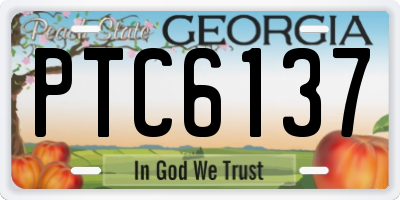 GA license plate PTC6137
