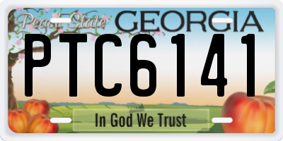 GA license plate PTC6141