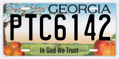 GA license plate PTC6142
