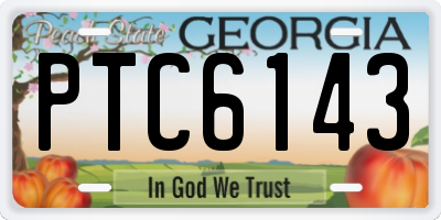 GA license plate PTC6143