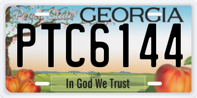 GA license plate PTC6144