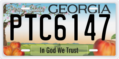 GA license plate PTC6147