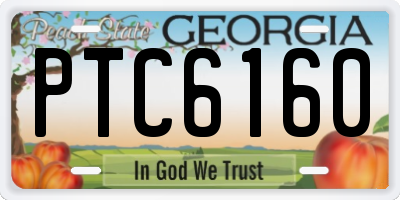 GA license plate PTC6160