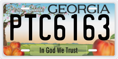 GA license plate PTC6163