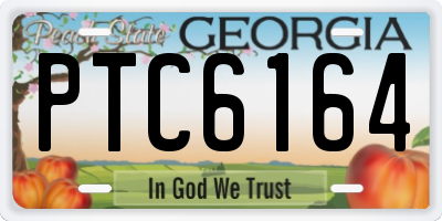 GA license plate PTC6164