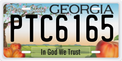 GA license plate PTC6165