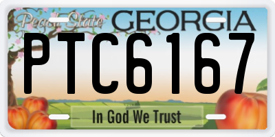 GA license plate PTC6167
