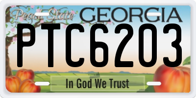 GA license plate PTC6203
