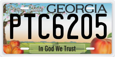 GA license plate PTC6205