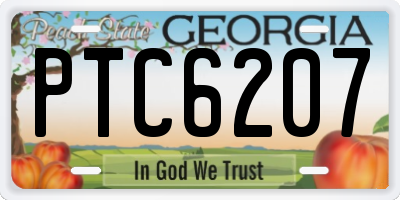 GA license plate PTC6207