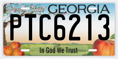 GA license plate PTC6213