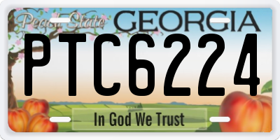 GA license plate PTC6224