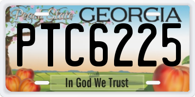 GA license plate PTC6225