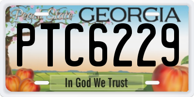 GA license plate PTC6229