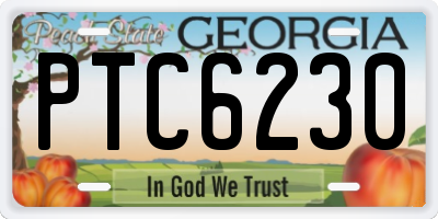 GA license plate PTC6230