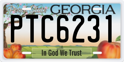 GA license plate PTC6231