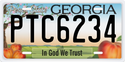 GA license plate PTC6234
