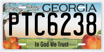 GA license plate PTC6238