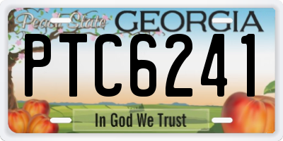 GA license plate PTC6241
