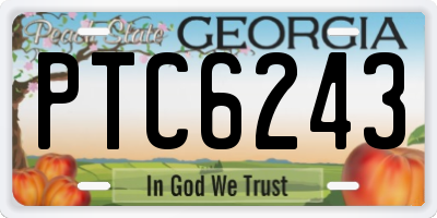 GA license plate PTC6243