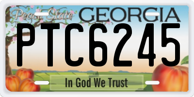 GA license plate PTC6245