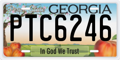 GA license plate PTC6246