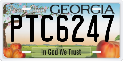 GA license plate PTC6247