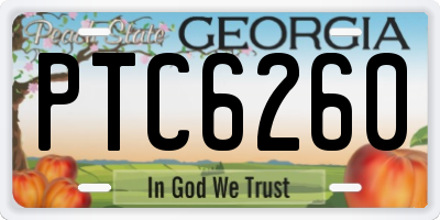 GA license plate PTC6260
