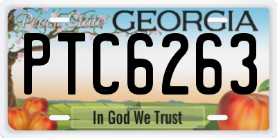 GA license plate PTC6263