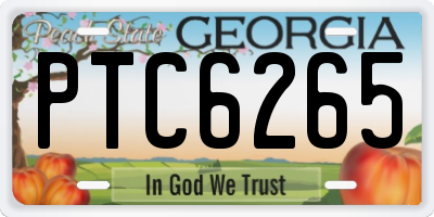 GA license plate PTC6265