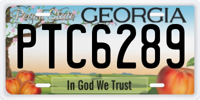 GA license plate PTC6289