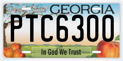 GA license plate PTC6300