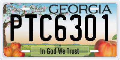 GA license plate PTC6301