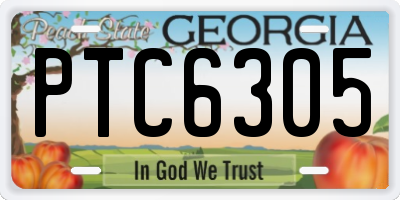 GA license plate PTC6305