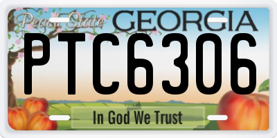 GA license plate PTC6306