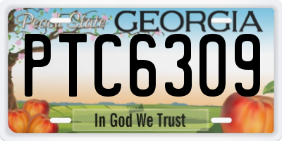 GA license plate PTC6309