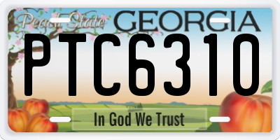 GA license plate PTC6310