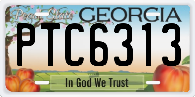 GA license plate PTC6313