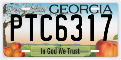 GA license plate PTC6317