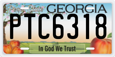 GA license plate PTC6318