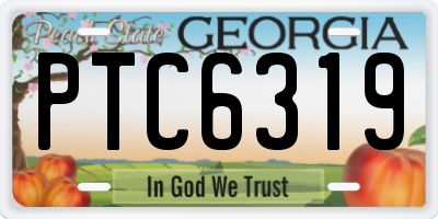 GA license plate PTC6319