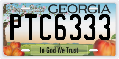 GA license plate PTC6333