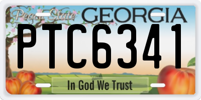 GA license plate PTC6341