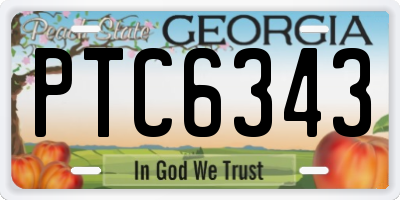 GA license plate PTC6343